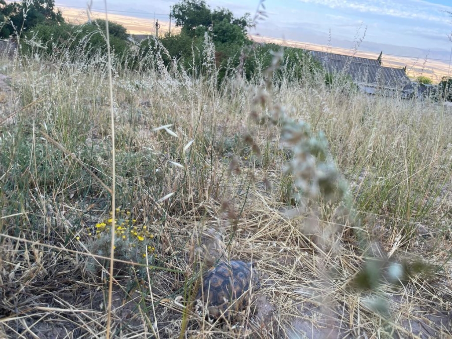  Bedroom Property for Sale in Piketberg Western Cape